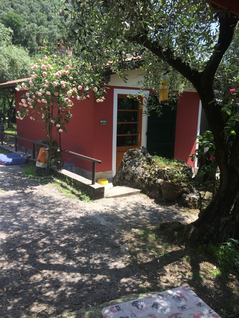 25935-montebello-di-camaiore-camaiore-vendita-rustico