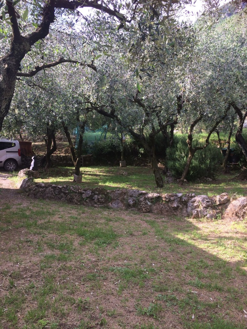 25935-montebello-di-camaiore-camaiore-vendita-rustico