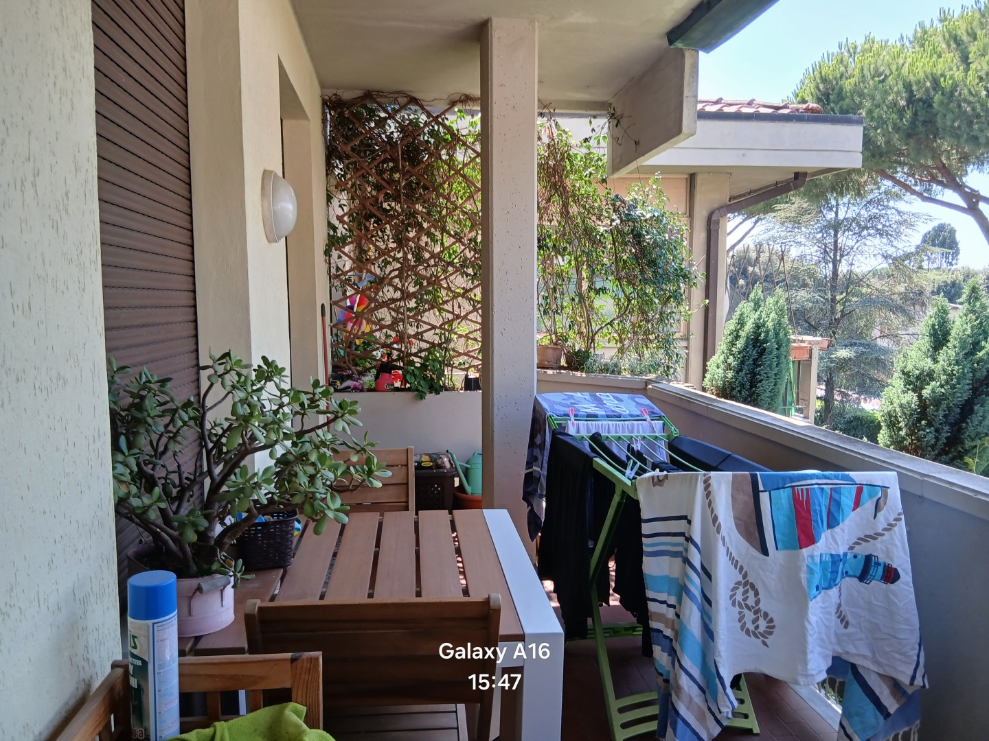 25954-lido-di-camaiore-camaiore-vendita-appartamento