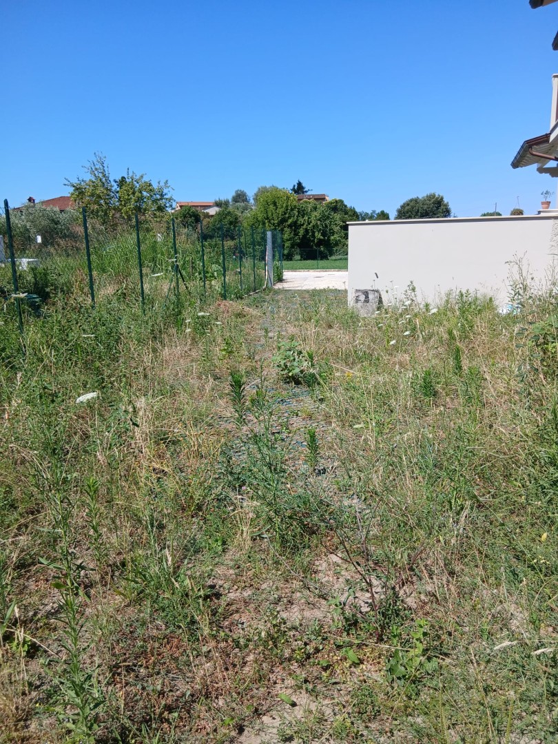 25979-capezzano-camaiore-vendita-in-quadrifamiliare
