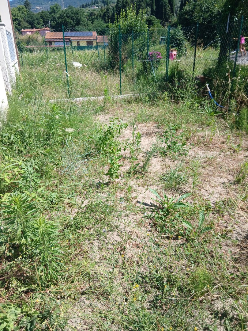 25979-capezzano-camaiore-vendita-in-quadrifamiliare