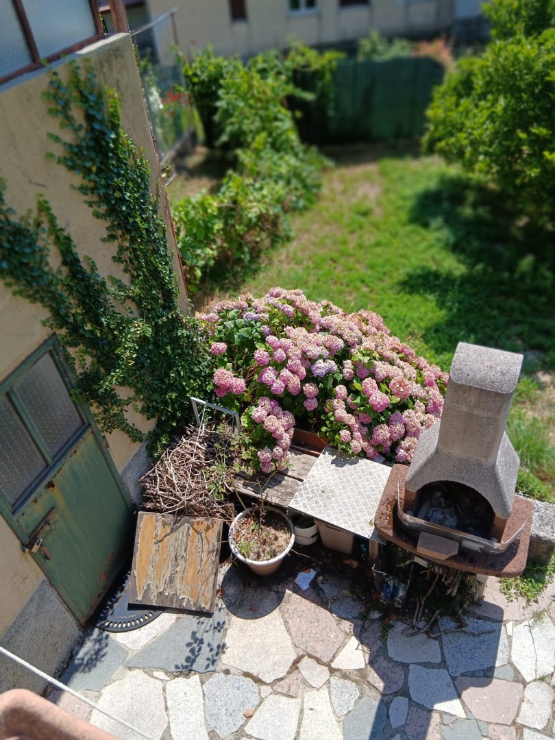 25980-minucciano-minucciano-vendita-villa-a-schiera