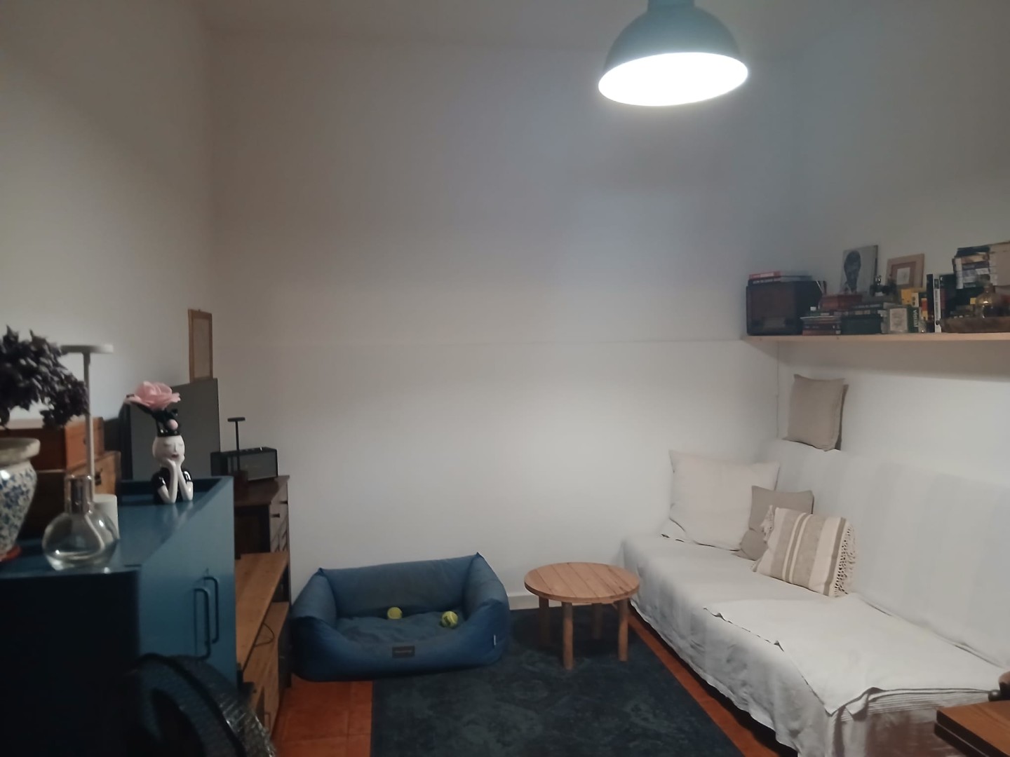 25982-pineta-viareggio-viareggio-vendita-appartamento