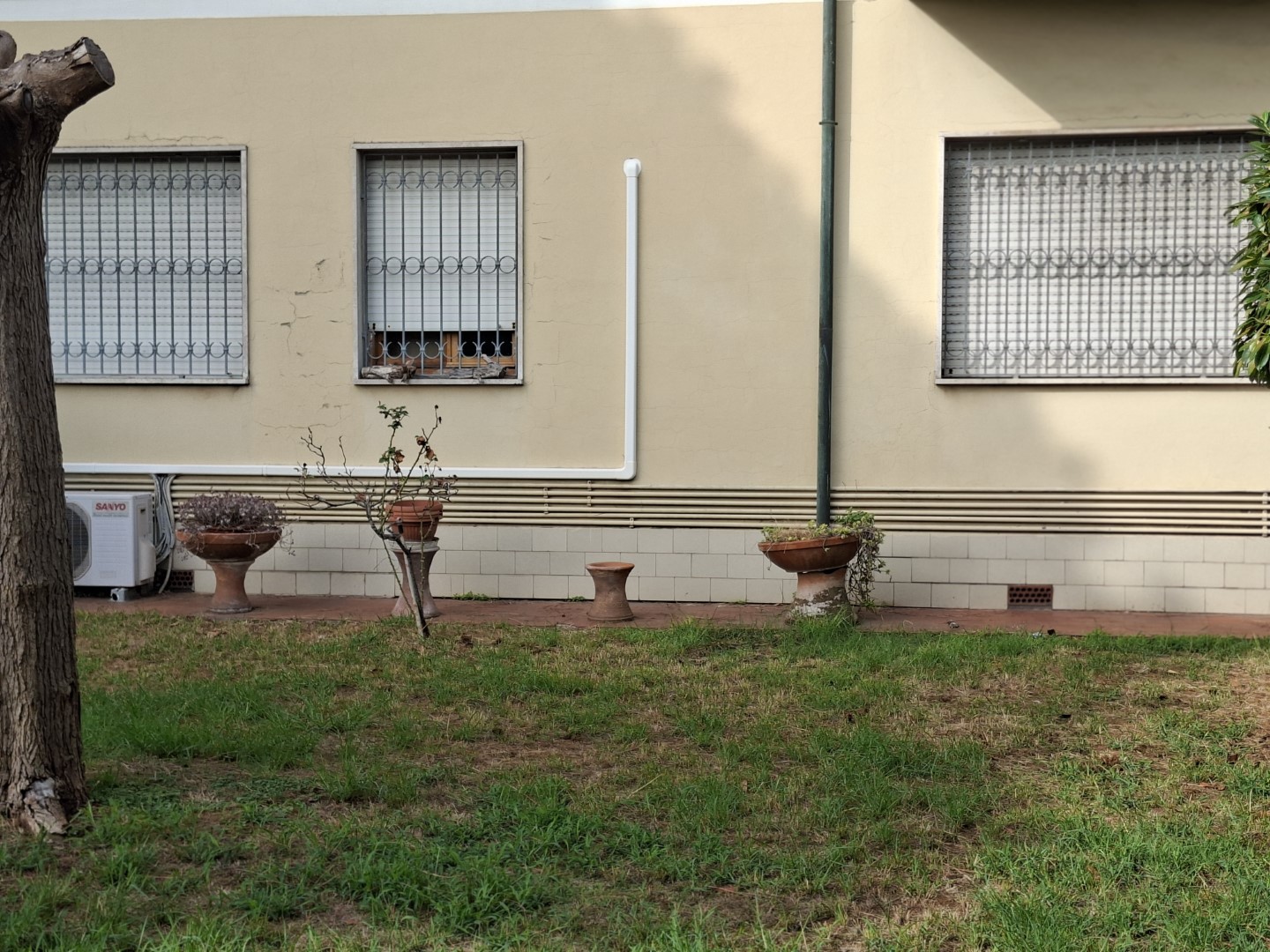 25989-migliarina-di-viareggio-viareggio-vendita-appartamento