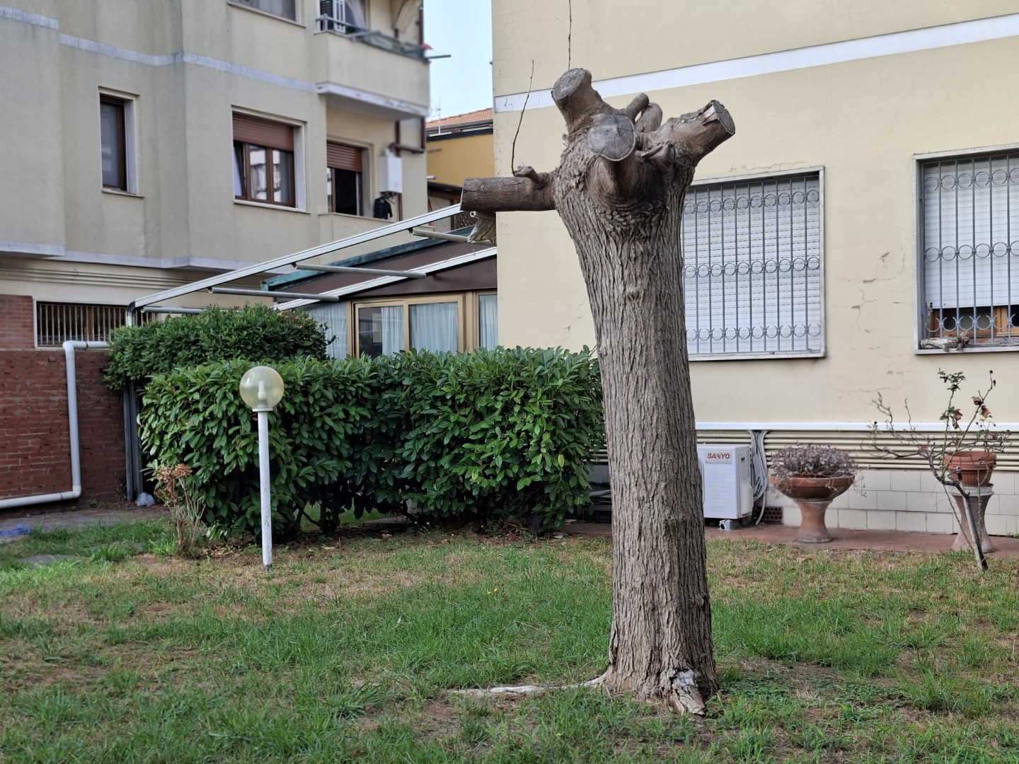 25989-migliarina-di-viareggio-viareggio-vendita-appartamento
